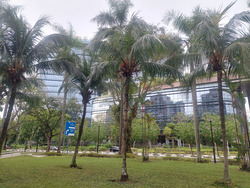 Blk 361 Woodlands Avenue 5 (Woodlands), HDB Executive #534064141